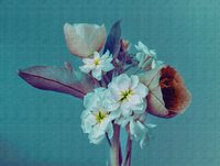 AS Creation The Wall Bloem 38269-1