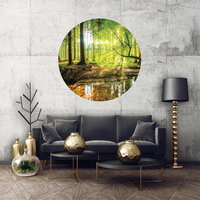 Bos Cirkel Behang 10513VEZ