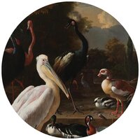 Het Drijvend Veertje Rijksmuseum Cirkel Behang SK17500VEZ