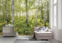 Komar Birch Trees SH043-VD4