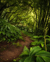 Komar The Path SH029-VD2