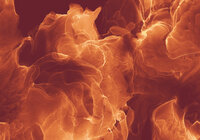 Komar Evoke INX8-073