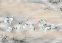 Komar Fulfillness INX8-054