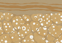 Komar Subsoil INX8-025