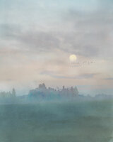 Komar Hazy Hush IF2-006