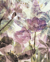 Komar Metropical Faded 6026B-VD2