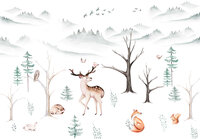 A Walk Into The Forest 14768