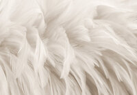 Veren Fotobehang 15279