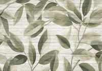 Planten Houtenplanken Fotobehang 15303