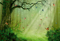 Magic Forest Fotobehang 14403