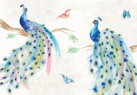 Pauwen & Vlinders Fotobehang 14384