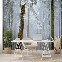 Mistig Fotobehang 13919