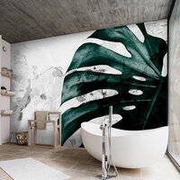 Monstera Fotobehang 13516