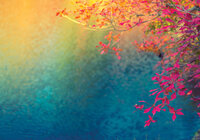 Planten Fotobehang 12647