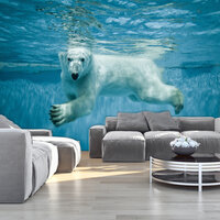 IJsbeer Fotobehang 12621