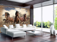 Paarden Fotobehang 10083