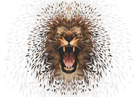 Leeuw Fotobehang 11560