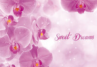 Bloemen Fotobehang 778