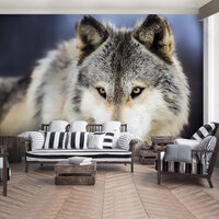 Wolf Fotobehang 2938