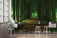 Bomen Fotobehang 2285