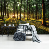 Bomen Fotobehang 2225