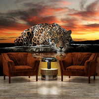 Jaguar Fotobehang 126