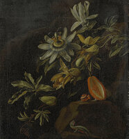 Dutch Wallcoverings Painted Memories 8007