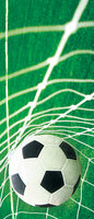 Ball in Goal Deurposter Fotobehang 015VET