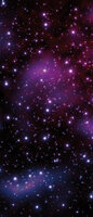 Cosmos Deurposter Fotobehang 177VET