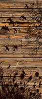 Meadow on Wood Planks Deurposter Fotobehang 3487VET