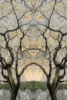 BN Wallcoverings No Limits 30586 Asian serenity