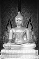 BN Wallcoverings Cool Dudes &amp; Funky Girlz 30026 Buddha