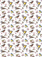 Little Birds and Floral Patterns Fotobehang 10401VEA