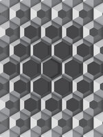 3D Hexagons Fotobehang 10761VEA