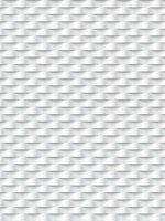 Stripes Fotobehang 10976VEA