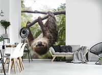 Sloth Fotobehang 11858VEA