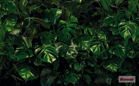 Komar PURE TROPICAL WALL VLIES P333-VD4