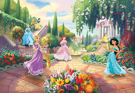 Disney Princess Park 8-4109