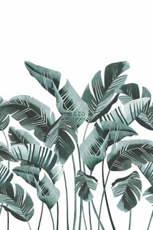 Esta XL2 - Photowalls | Scandi Cool | Jungle Fever 158898 (Met Gratis Lijm)