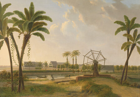 Rijksmuseum Gezicht op de Koffieplantage Suriname Willem De Klerk RM29 (Met Gratis Lijm)