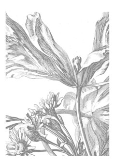 KEK Amsterdam Engraved Flowers III WP-329 (Met Gratis Lijm)