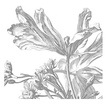 KEK Amsterdam Engraved Flowers III WP-333 (Met Gratis Lijm)