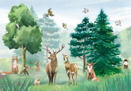 A Walk Into The Forest Animals 14409