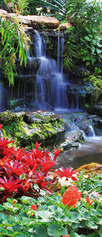 Waterfall in Colourful Jungle Deurposter Fotobehang 166VET