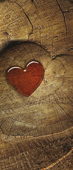 Red Heart on Wood Deurposter Fotobehang 135VET