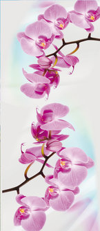 Orchid Flower Floral Deurposter Fotobehang 116VET