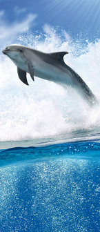 Dolphins Jumping on Waves Deurposter Fotobehang 188VET