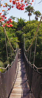 Bridge over the Jungle Deurposter Fotobehang 250VET