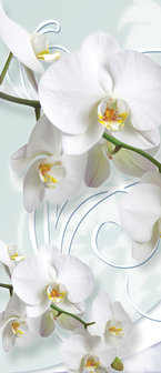 Orchid Flower Floral Deurposter Fotobehang 1206VET