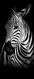 Zebra Deurposter Fotobehang 11767VET